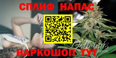 винт Будённовск