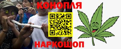 крисы Бузулук