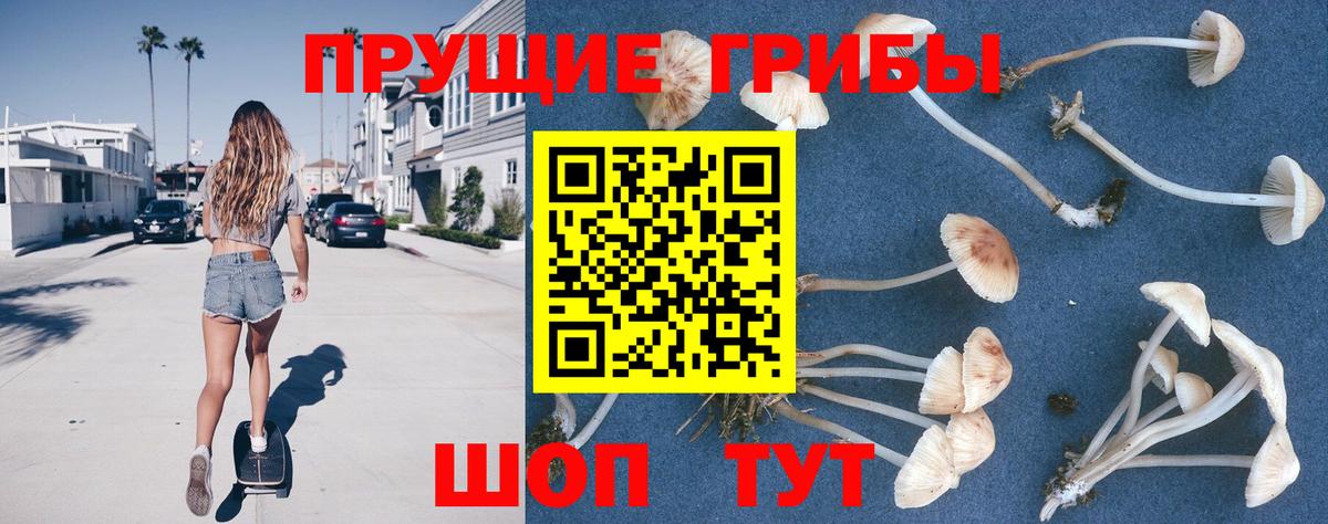Тольятти  Галлюциногенные грибы Magic Shrooms  Вход с VPN 